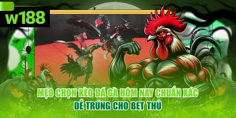Mẹo Chọn Kèo Đá Gà Hôm Nay Chuẩn Xác, Dễ Trúng Cho Bet Thủ 1 Mẹo Chọn Kèo Đá Gà Hôm Nay Chuẩn Xác, Dễ Trúng Cho Bet Thủ