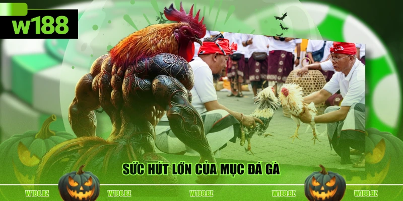Đá Gà W188 2 Sức hút lớn của mục đá gà